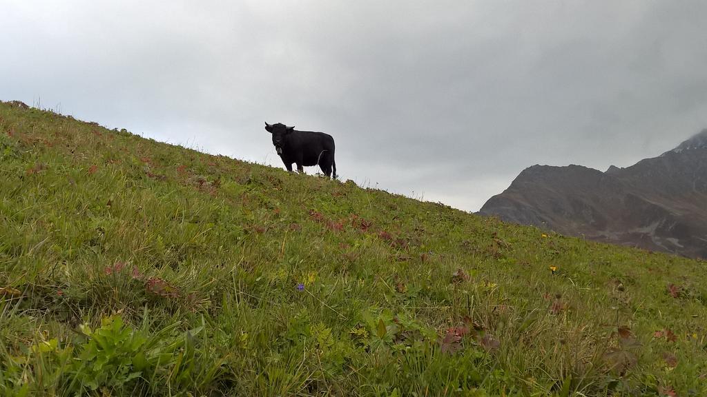 Rodasia Verbier Dış mekan fotoğraf